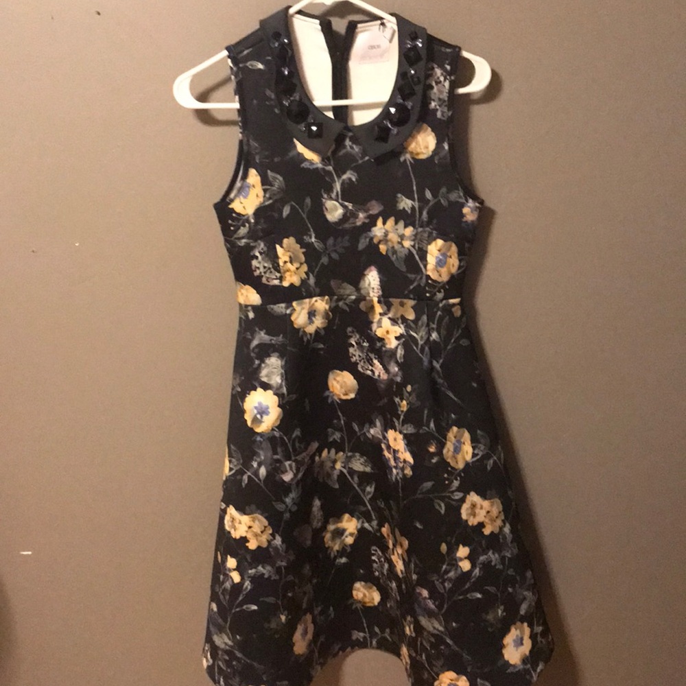 Peter Pan dress maternity
